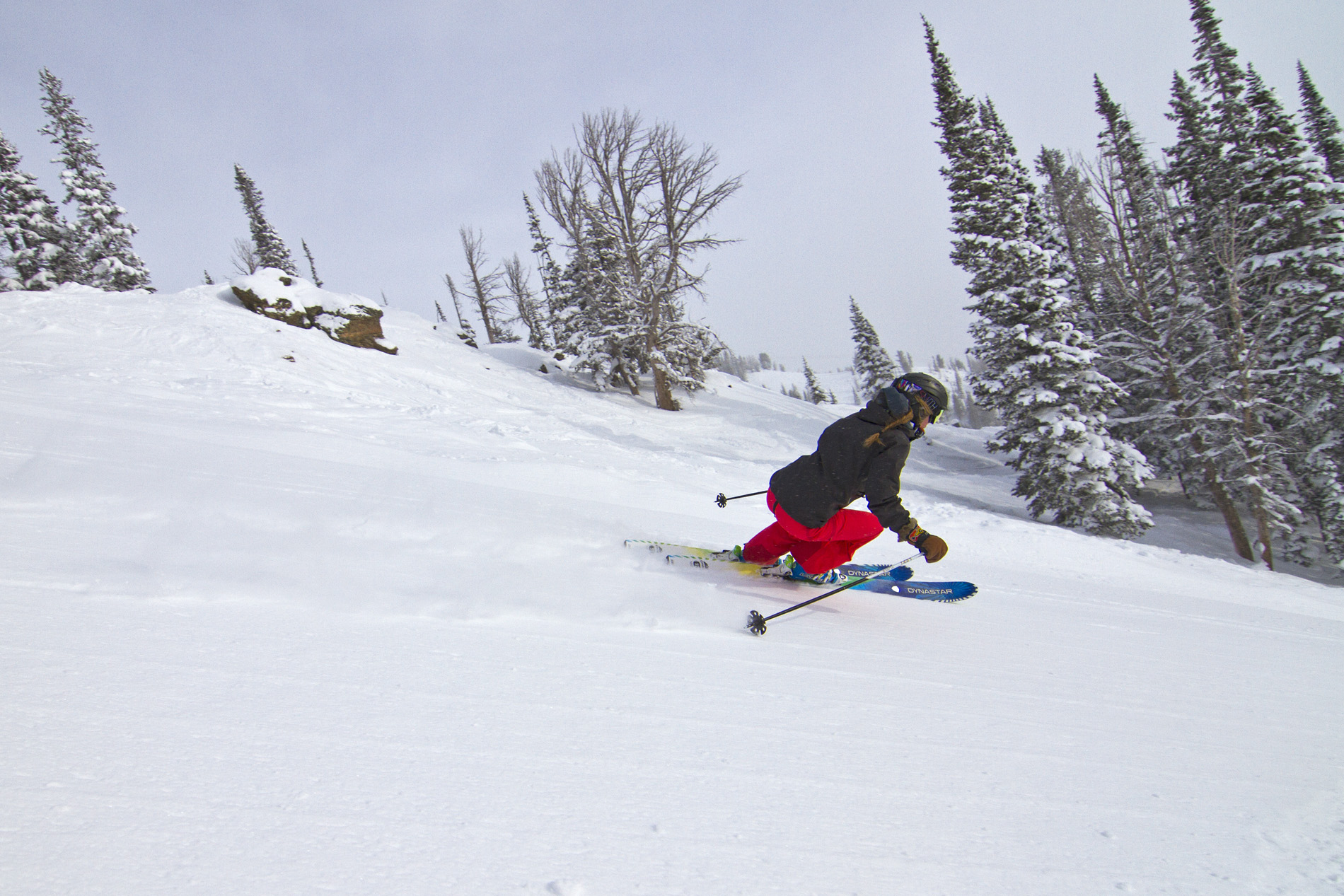 Jackson Hole skiier